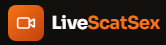 Creator Network